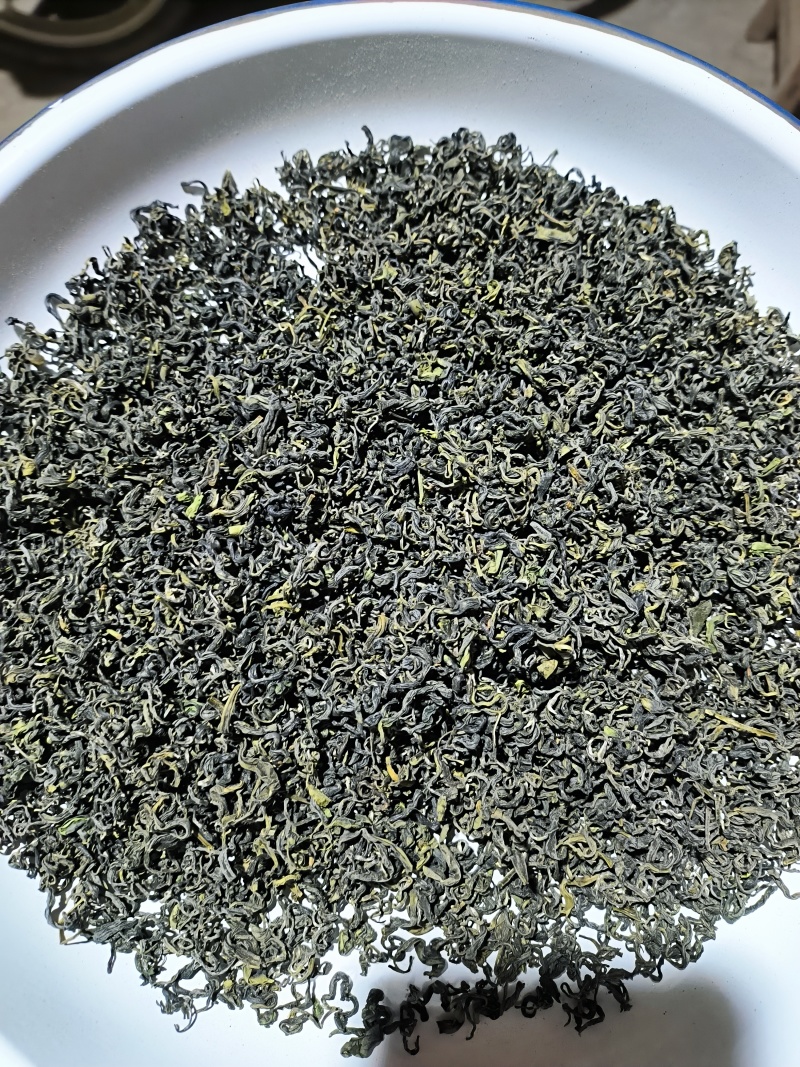 日照绿茶秋茶山东日照基地直供质量保证量大优惠全国发货