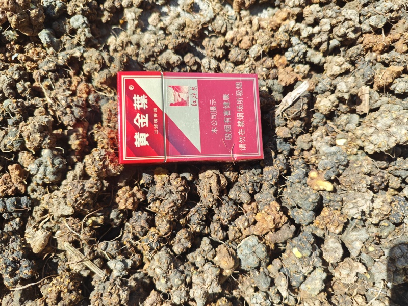 水洗两遍统货出售欢迎咨询