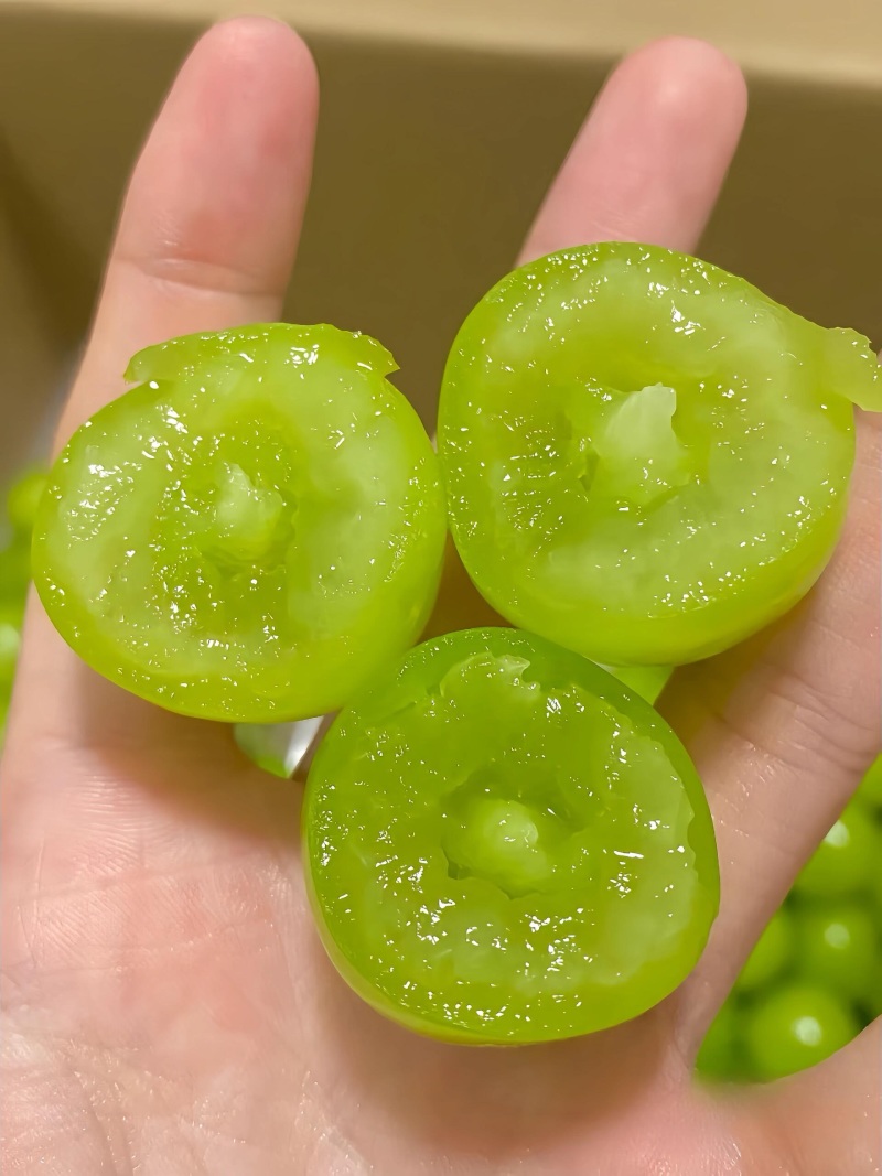 《畅销推荐》山西临猗阳光玫瑰葡萄大量上市中基地直发对接全