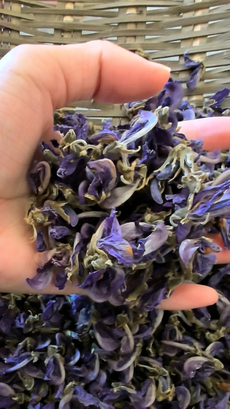 野生葛花