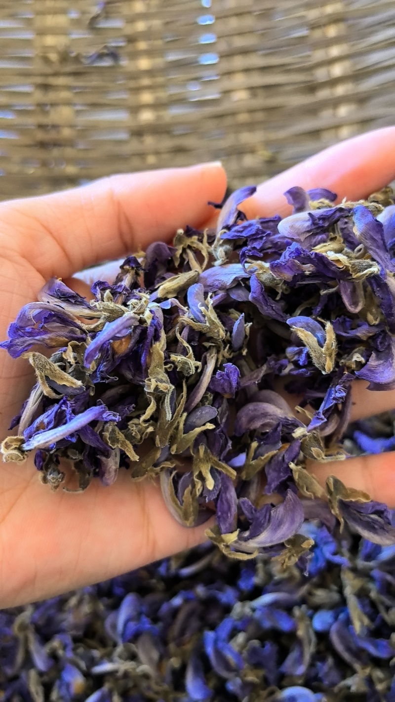 野生葛花