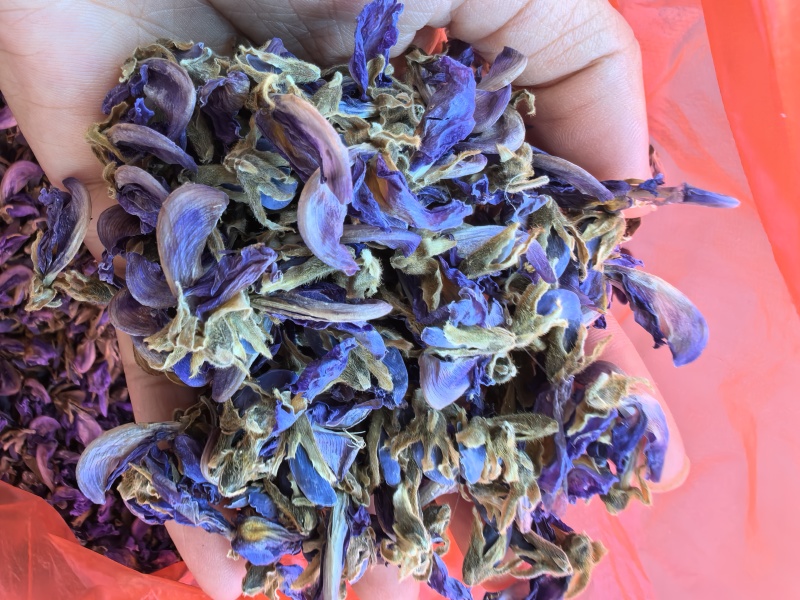 野生葛花