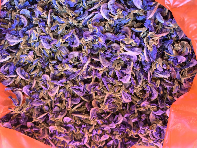 野生葛花