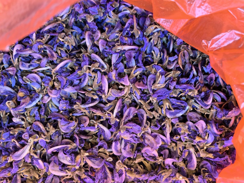 野生葛花
