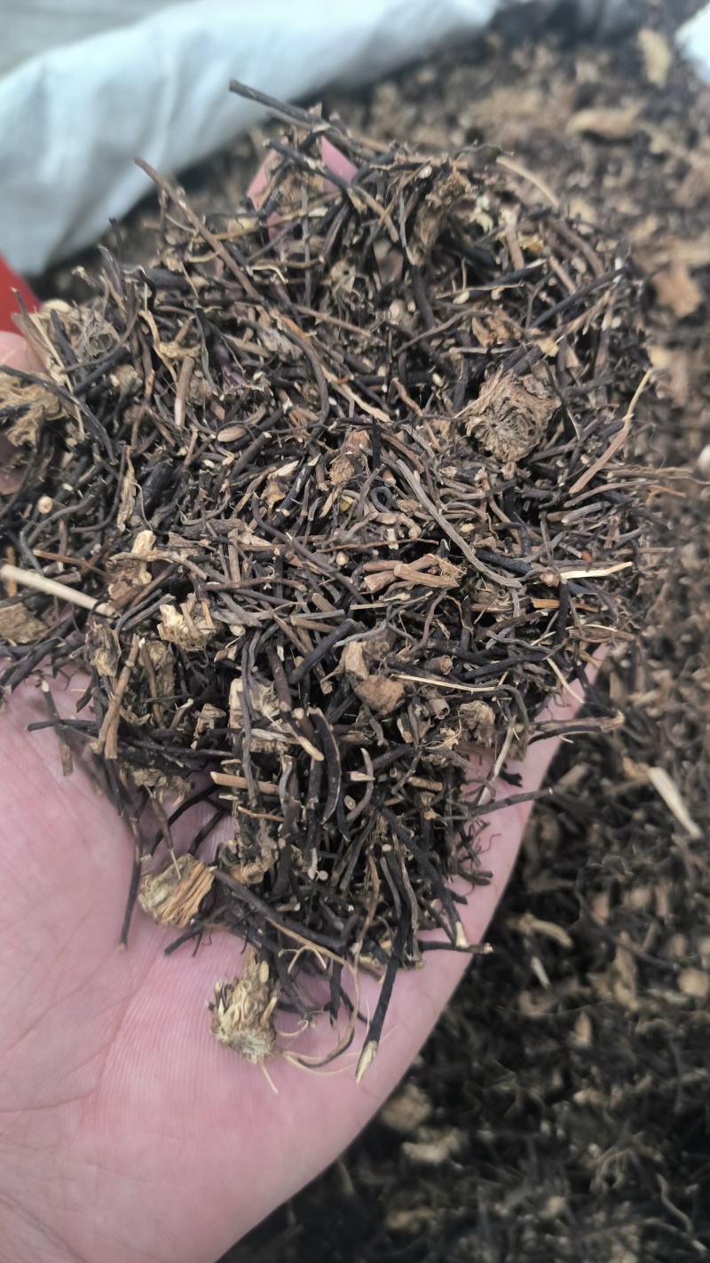 威灵仙正品威灵仙质量保证诚信经营批发零售各种中药材