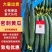 精品黄瓜山东黄瓜密刺黄瓜大量上市一手货源