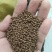 鱼料蛋白34粗纤维12灰分3脂肪10