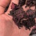 洛神花玫瑰茄正品无硫质量保证规格齐全量大从优