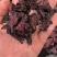 洛神花玫瑰茄正品无硫质量保证规格齐全量大从优
