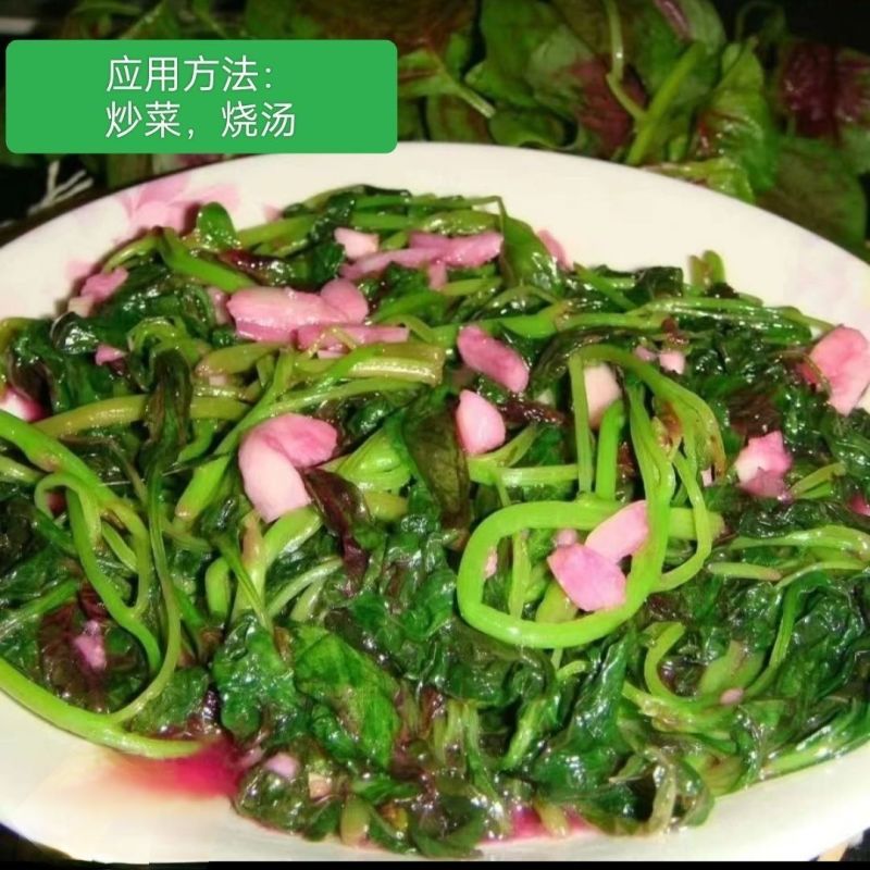 农家现挖现送红苋菜苋菜