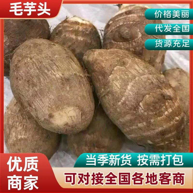 芋头8520毛芋头产地直发，货源充足，规格齐全，全国发货