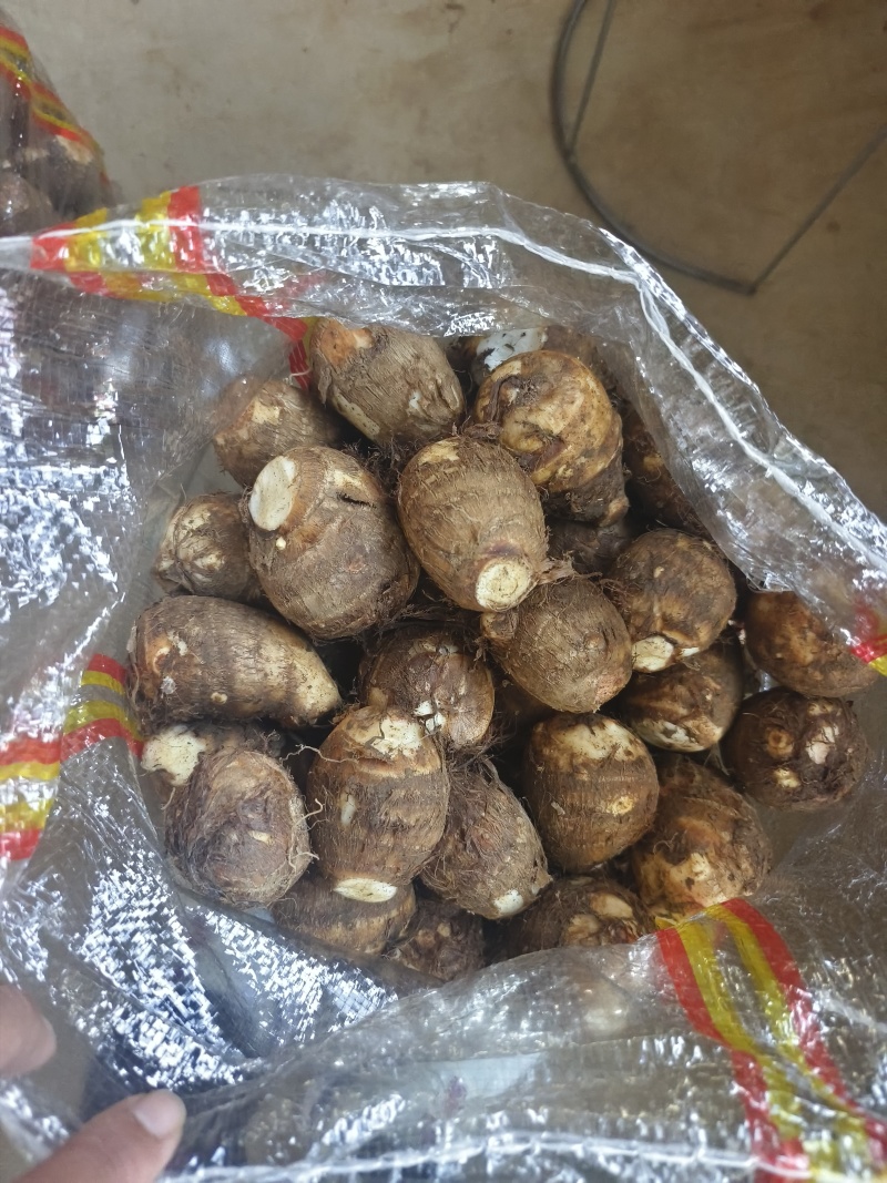 芋头8520毛芋头产地直发，货源充足，规格齐全，全国发货