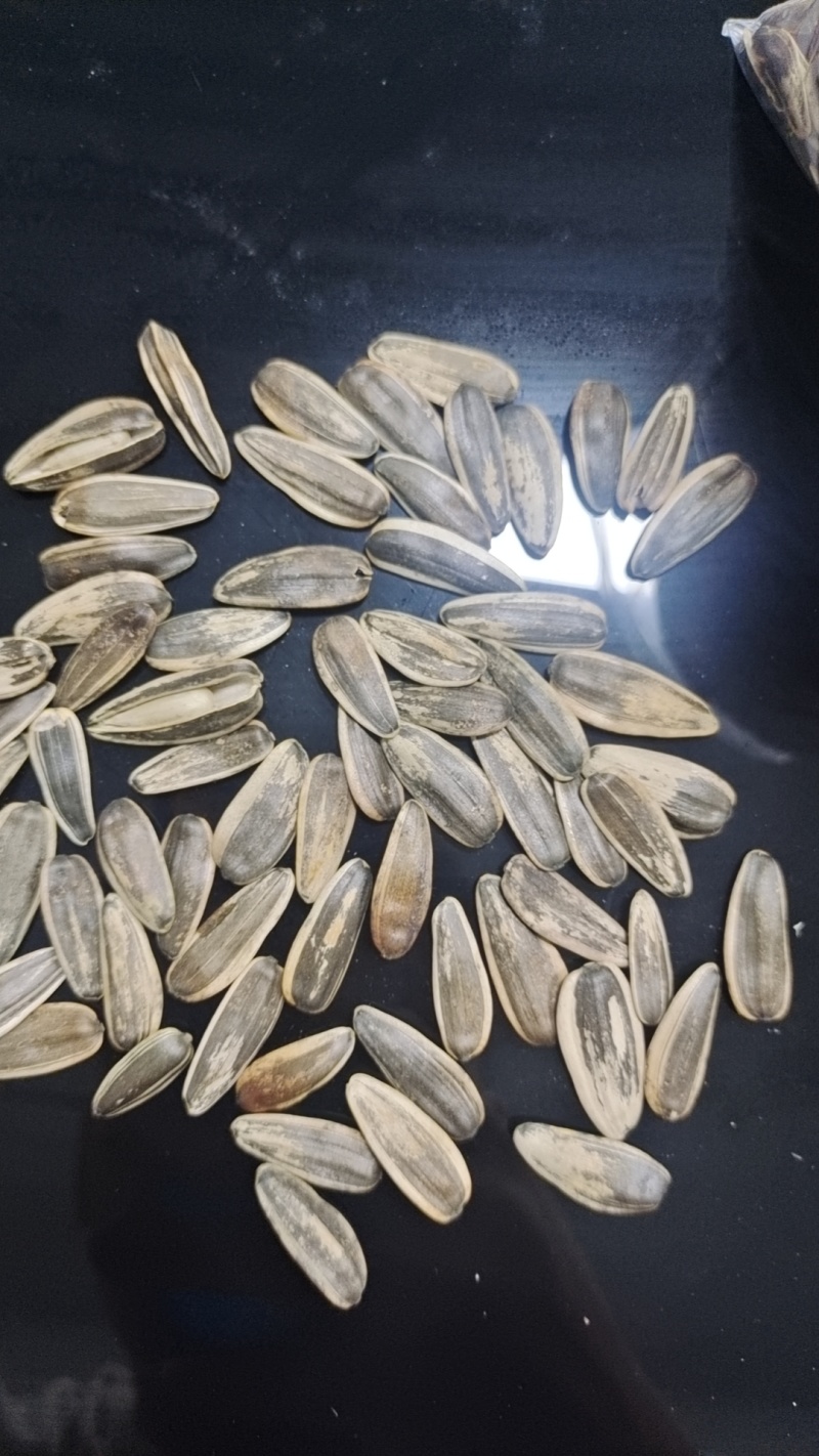 黑皮原味瓜子大颗粒电商通用货可聊