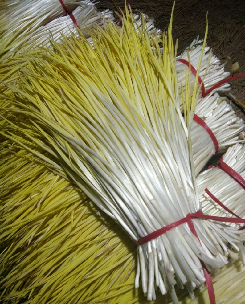 山东精品蒜黄