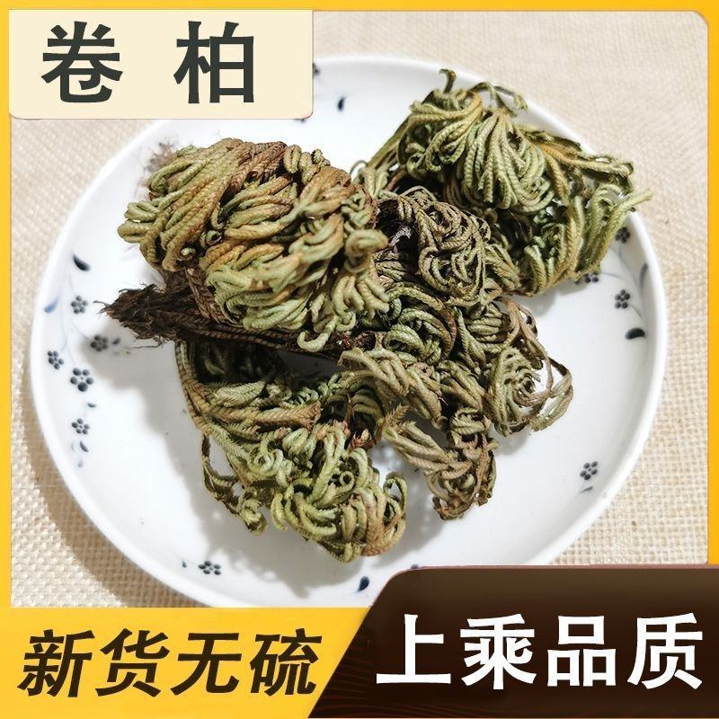 卷柏/山东产地直销/质量保证/亳州线下10年老店