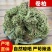卷柏/山东产地直销/质量保证/亳州线下10年老店