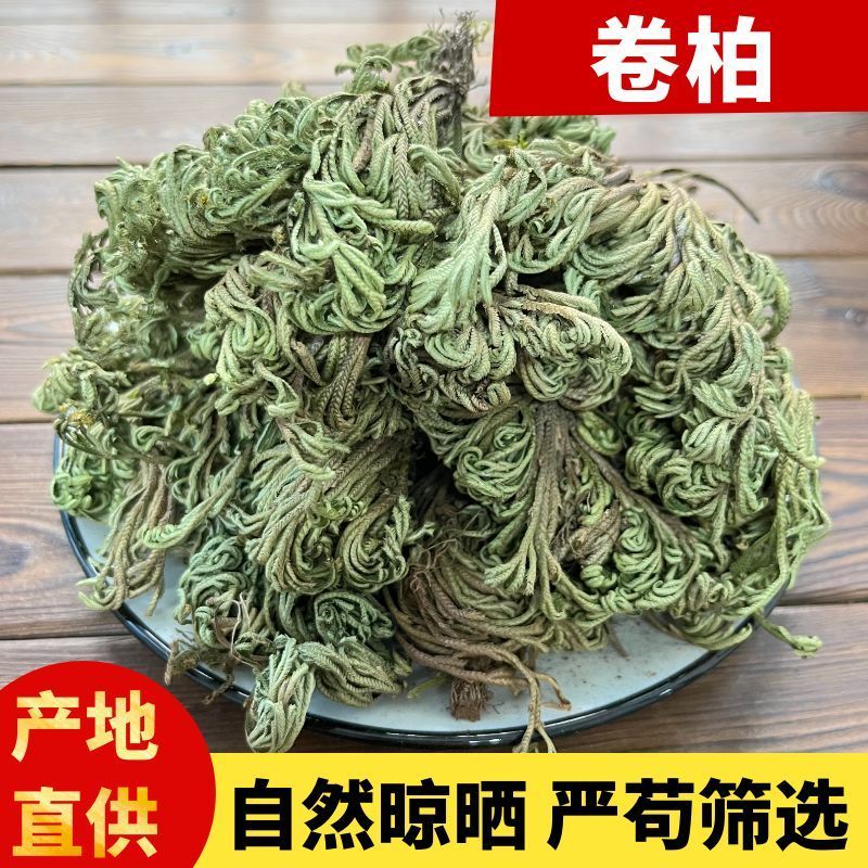 卷柏/山东产地直销/质量保证/亳州线下10年老店