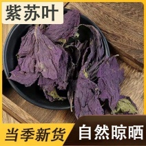 紫苏叶/河北安国产地/保障质量/放心购买欢迎来电合作