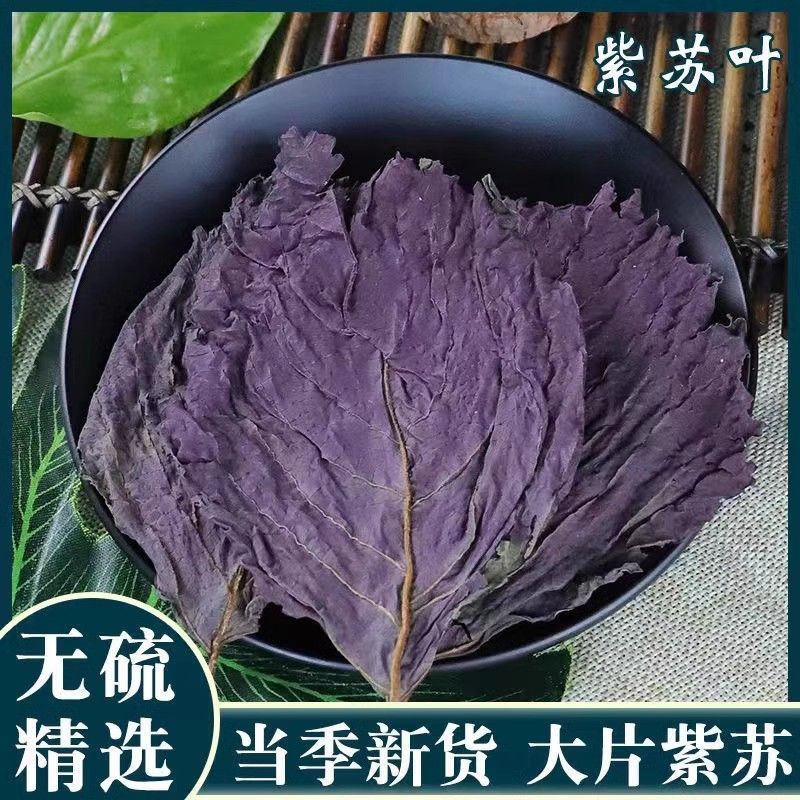 紫苏叶/河北安国产地/保障质量/放心购买欢迎来电合作