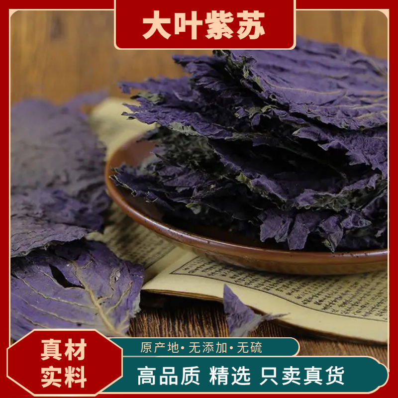 紫苏叶/河北安国产地/保障质量/放心购买欢迎来电合作