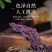 紫苏叶/河北安国产地/保障质量/放心购买欢迎来电合作