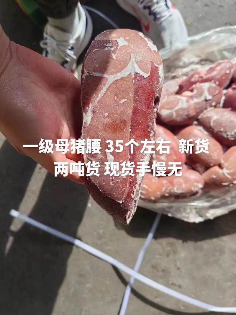 猪腰子规格齐全