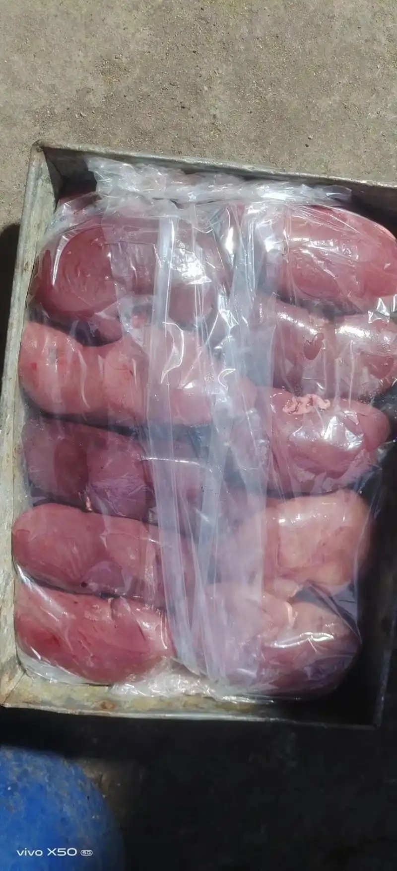 猪腰子规格齐全