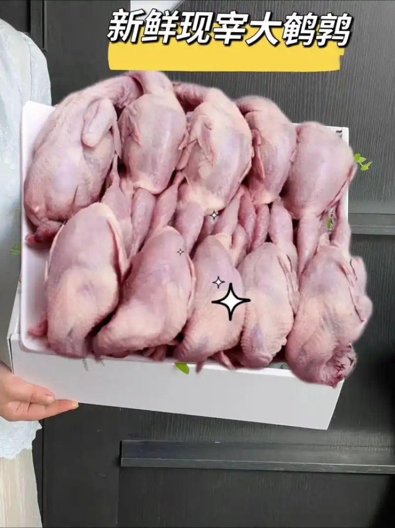 鹌鹑规格齐全量大优惠