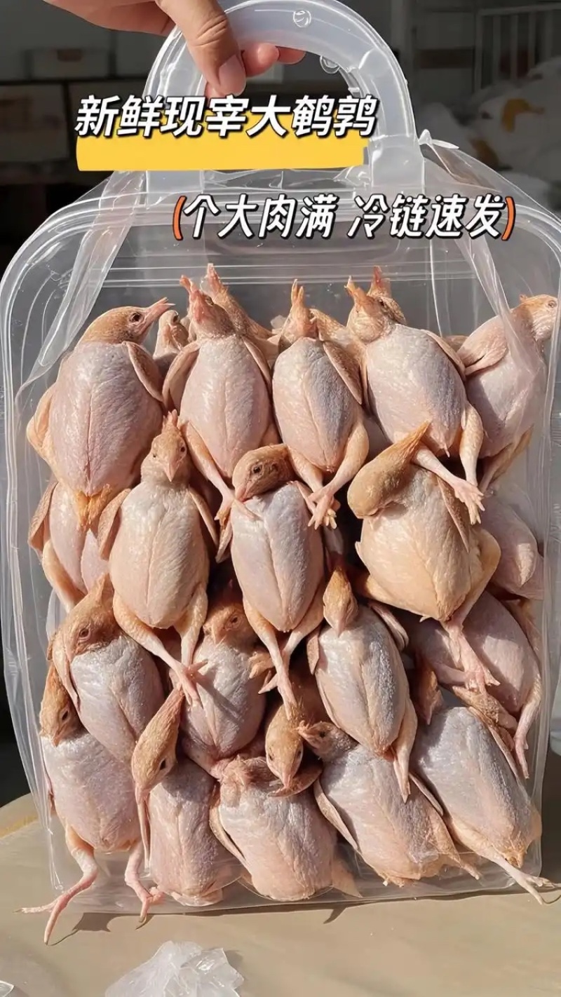 鹌鹑规格齐全量大优惠