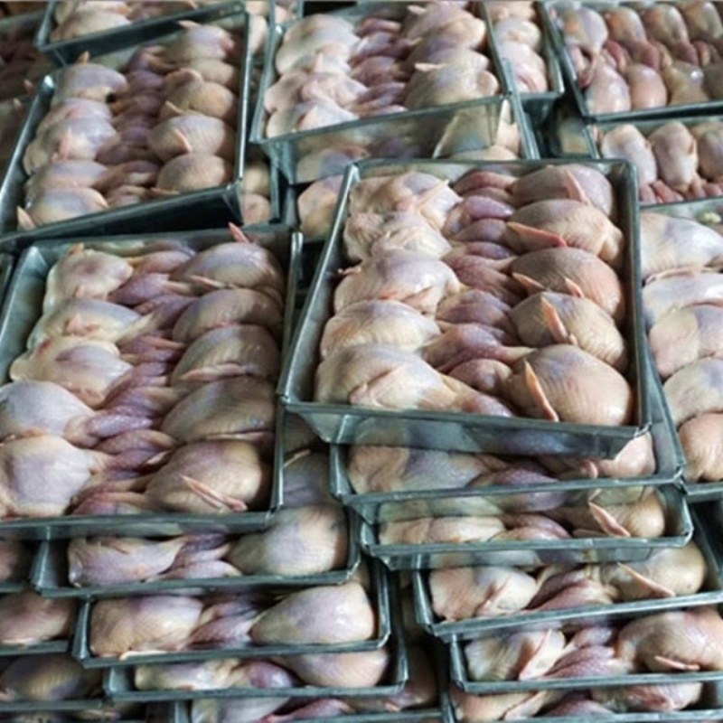 鹌鹑规格齐全量大优惠
