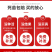 果园直发苹果苗早熟鲁丽月香红思尼克等乔化矮化包成活率