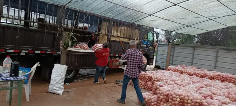 陕西精品红富士苹果脆甜双口，对接超市，批发市场，商超