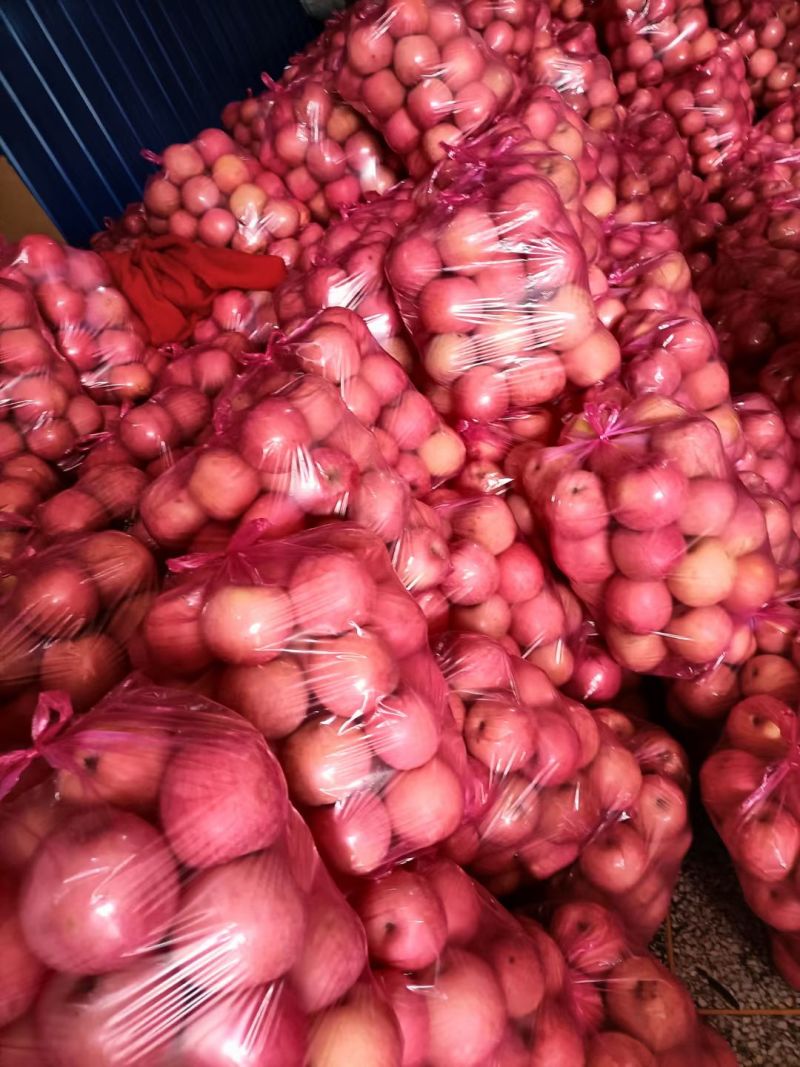 陕西精品红富士苹果脆甜双口，对接超市，批发市场，商超