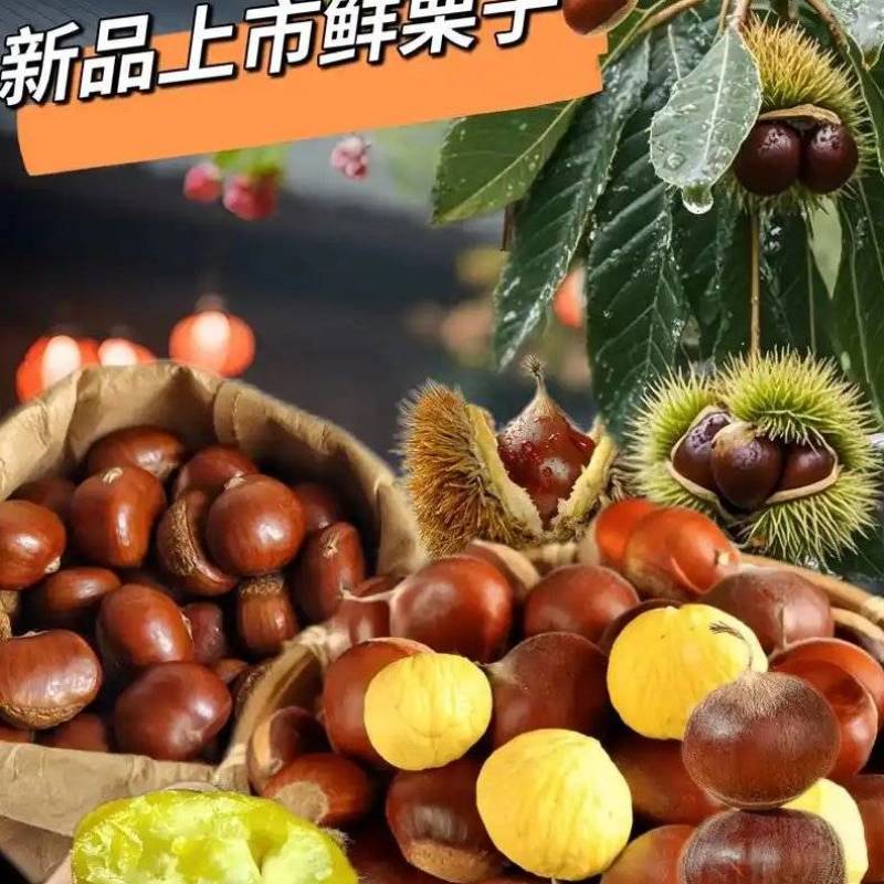 板栗，对接电商，加工厂，产地一手货源，价格便宜，质量保障