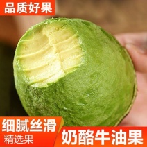 精品牛油果，一件代发，对接电商社区团购等，诚信经营，量大
