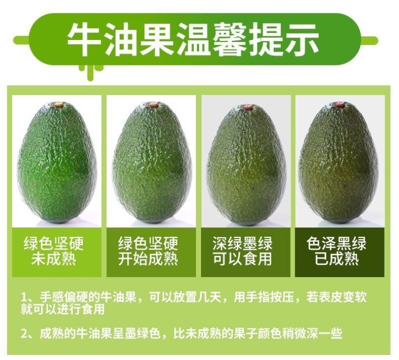 精品牛油果，一件代发，对接电商社区团购等，诚信经营，量大