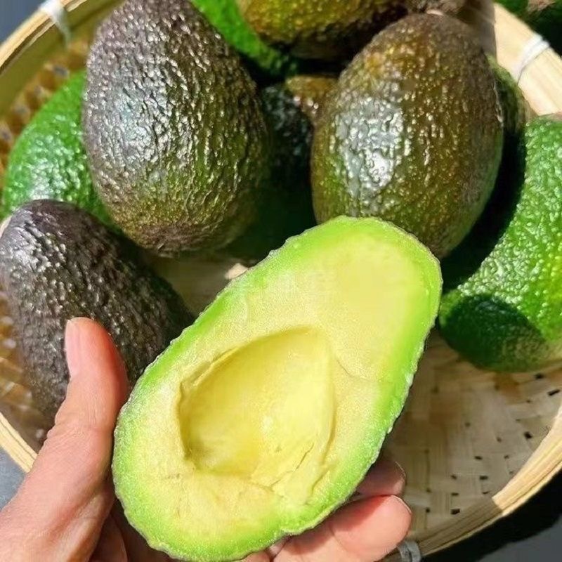 精品牛油果，一件代发，对接电商社区团购等，诚信经营，量大