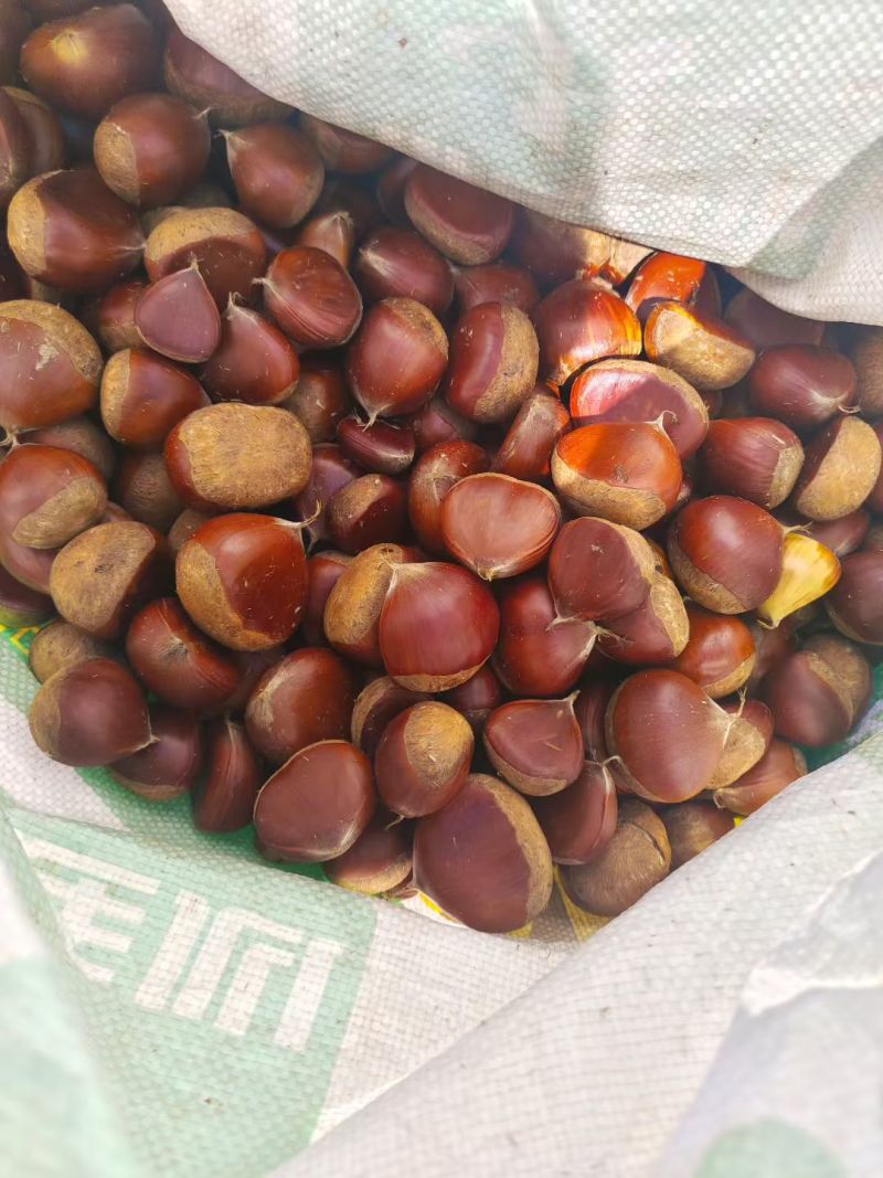 板栗，对接电商，加工厂，产地一手货源，价格便宜，质量保障