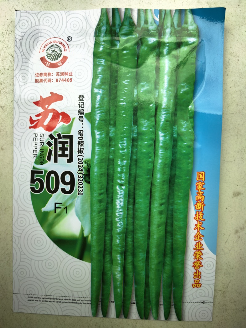 苏润509线椒种子早中熟绿色加长条椒中辣高品质辣椒种子