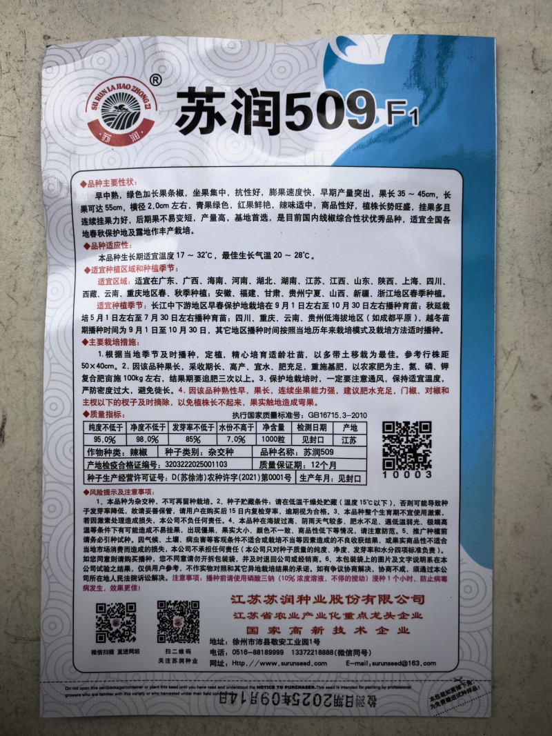 苏润509线椒种子早中熟绿色加长条椒中辣高品质辣椒种子