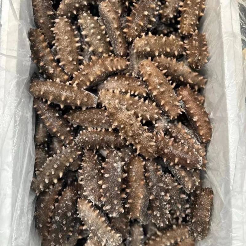 精品辽参