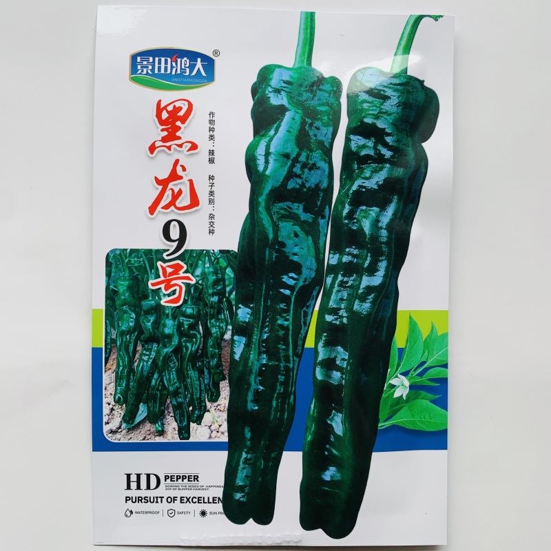 黑龙9号皱皮椒种子特辣小皱皮辣椒种子高产皮薄黑绿皱皱辣种