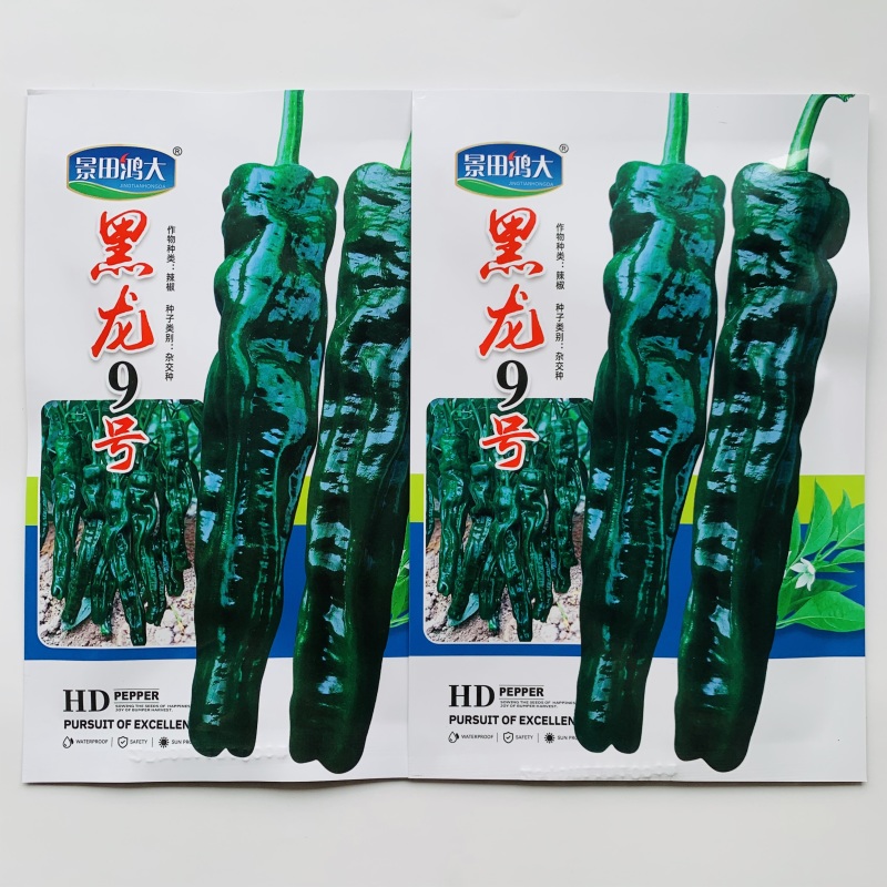 黑龙9号皱皮椒种子特辣小皱皮辣椒种子高产皮薄黑绿皱皱辣种