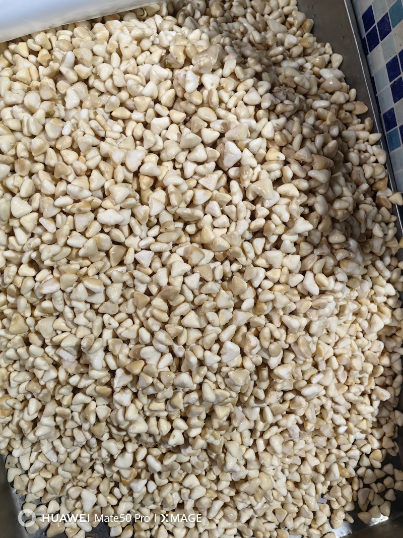 微山湖野生菱角米