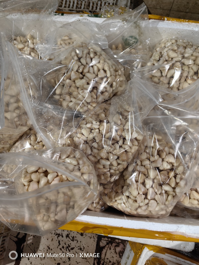 微山湖野生菱角米