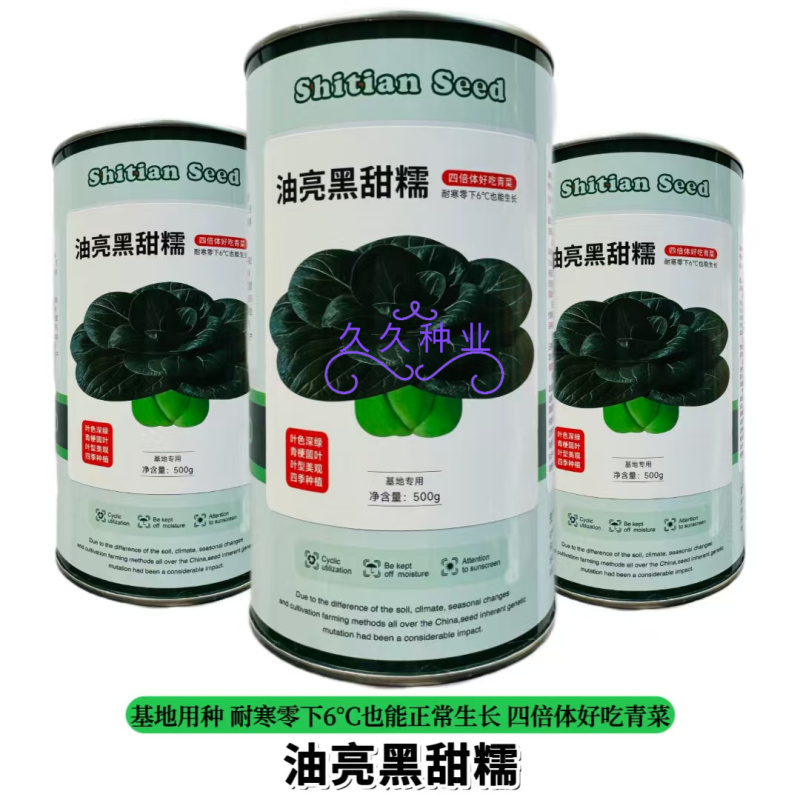 油亮黑甜糯青菜种子束腰短梗苏州青种子甜糯优质青菜