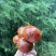 新鲜牛肝菌