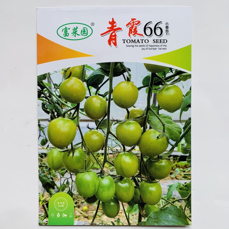 青霞66番茄种子超甜樱桃番茄种籽香甜浓郁抗病水果番茄种子