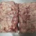 牛蛙肉基地供应一手货源厂家直供量大从优诚信经营
