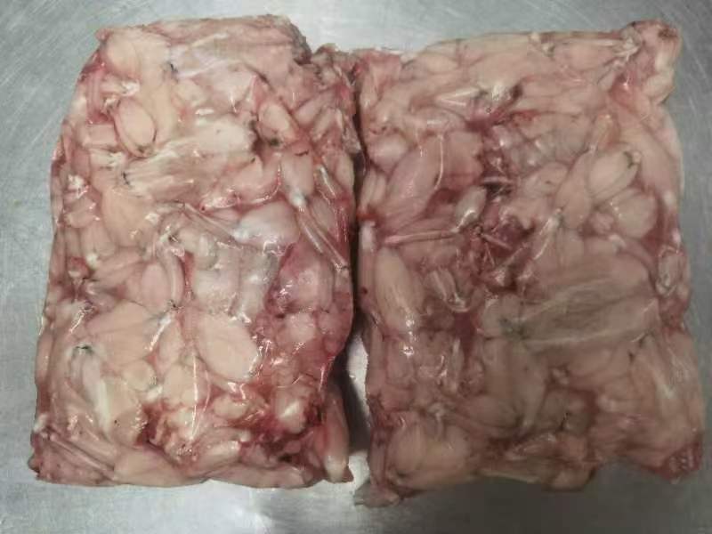 牛蛙肉基地供应一手货源厂家直供量大从优诚信经营